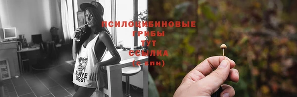 таблы Абинск