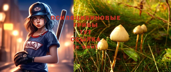 таблы Абинск